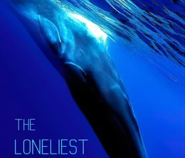 image-https://media.senscritique.com/media/000020167520/0/the_loneliest_whale_the_search_for_52.jpg