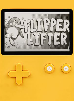 Flipper Lifter