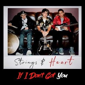 If I Don't Got You (Single)