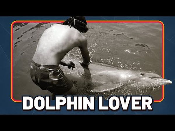 Dolphin Lover