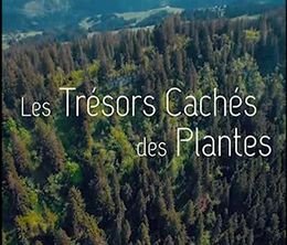 image-https://media.senscritique.com/media/000020171893/0/les_tresors_caches_des_plantes.jpg