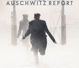 image-https://media.senscritique.com/media/000020172403/0/le_rapport_auschwitz.jpg