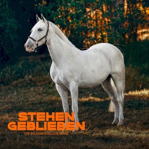 Stehen geblieben (The Belgian Stallion Remix) (Single)