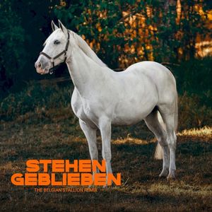 Stehen geblieben (The Belgian Stallion Remix)