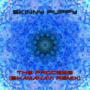 The Process (Shamanavi Remix)