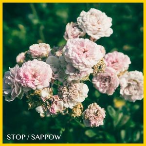 STOP (EP)