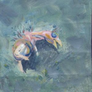 bird