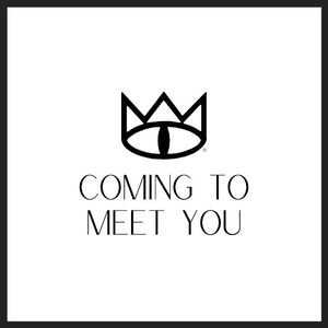 Coming to Meet You (Single)