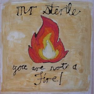 You are not a Fire