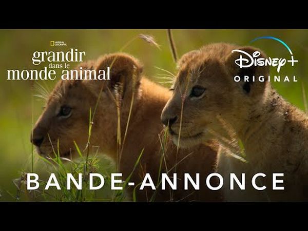 Grandir dans le monde animal