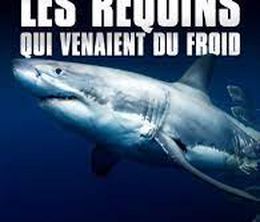 image-https://media.senscritique.com/media/000020192454/0/les_requins_qui_venaient_du_froid.jpg