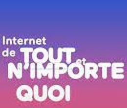 image-https://media.senscritique.com/media/000020199875/0/internet_de_tout_et_n_importe_quoi.jpg