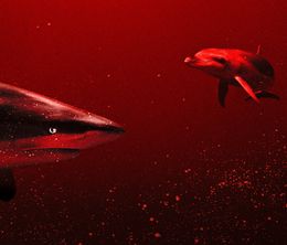 image-https://media.senscritique.com/media/000020203211/0/requins_vs_dauphins.jpg