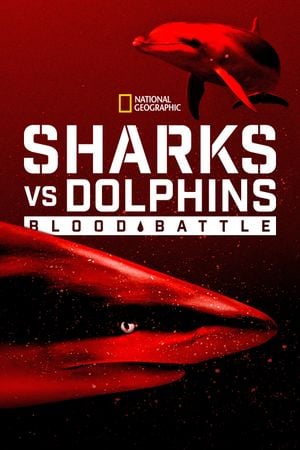 Requins vs. Dauphins