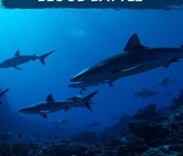 image-https://media.senscritique.com/media/000020203228/0/requins_vs_dauphins.jpg