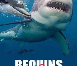 image-https://media.senscritique.com/media/000020203232/0/requins_vs_dauphins.jpg