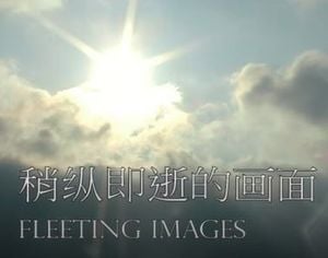 Fleeting Images