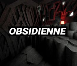 image-https://media.senscritique.com/media/000020208900/0/Obsidienne.jpg