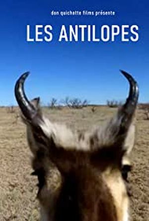 Les Antilopes