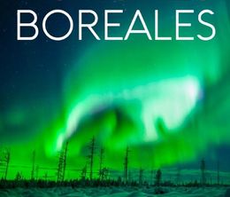 image-https://media.senscritique.com/media/000020211438/0/aurores_boreales_des_lumieres_fascinantes_mais_menacantes.jpg