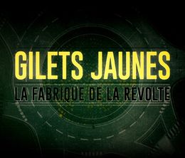 image-https://media.senscritique.com/media/000020212502/0/gilets_jaunes_la_fabrique_de_la_revolte.jpg