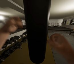 image-https://media.senscritique.com/media/000020212722/0/Gym_Simulator.jpg