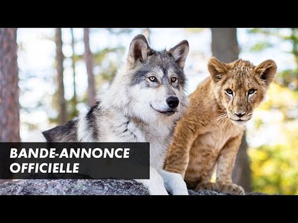 Le Loup et le Lion