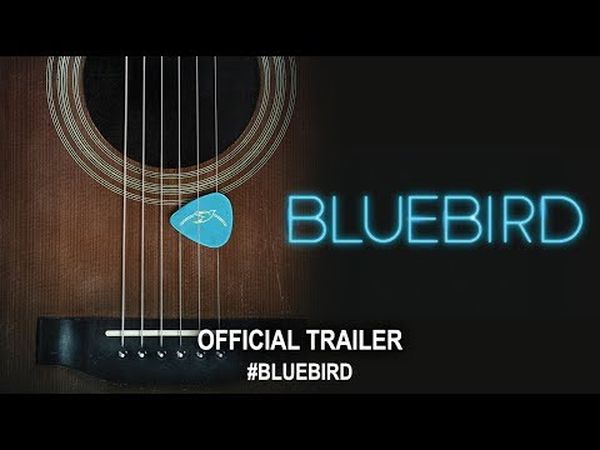 Bluebird