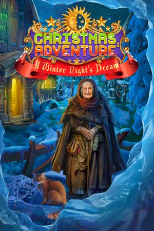 Christmas Adventures: A Winter Night's Dream