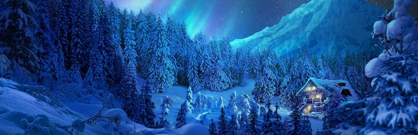 Christmas Adventures: A Winter Night's Dream