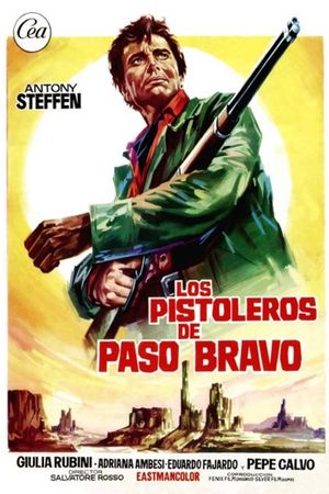 Le Pistolero de Paso Bravo