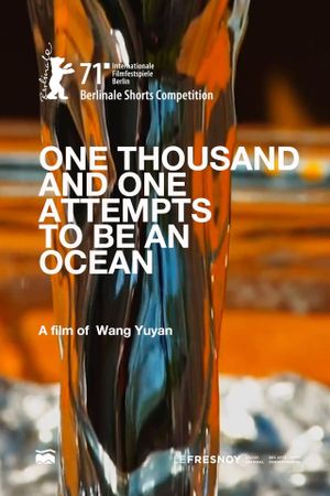 One Thousand and One Attempts to Be an Ocean