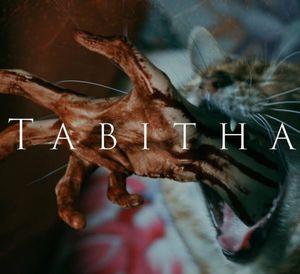 Tabitha