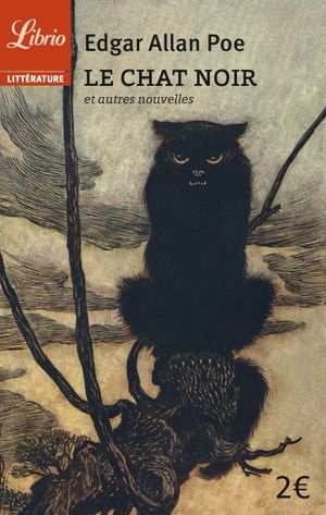 Le Chat noir