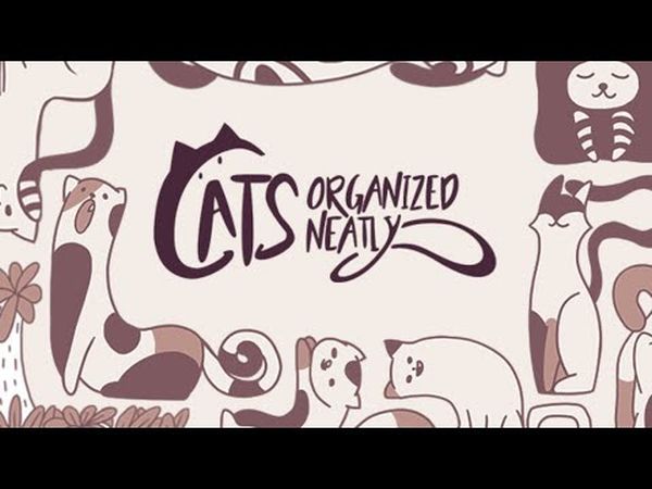 Cats Organized Neatly