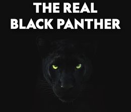 image-https://media.senscritique.com/media/000020237395/0/the_real_black_panther.jpg