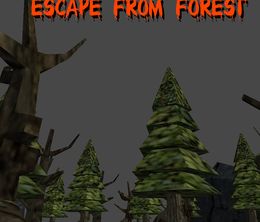 image-https://media.senscritique.com/media/000020239399/0/Escape_From_Forest.jpg