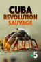 Cuba, révolution sauvage