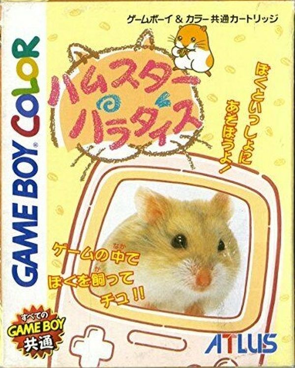 Hamster Paradise