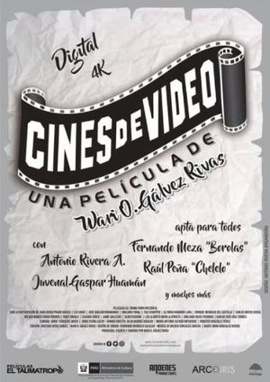 Cines de video