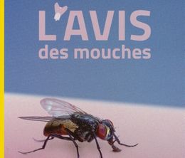 image-https://media.senscritique.com/media/000020250505/0/l_avis_des_mouches.jpg