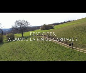 Pesticides, à quand la fin du carnage ?