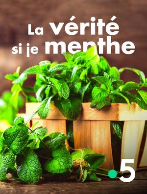 La Vérité si je menthe