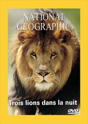 Trois lions dans la nuit