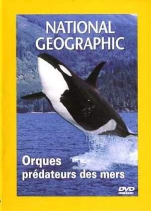Orques: prédateurs des mers