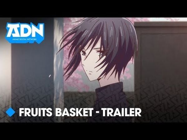 Fruits Basket