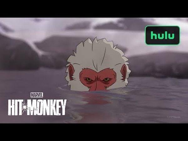 Hit-Monkey