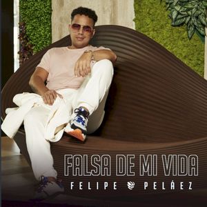 Falsa de mi vida (Single)