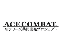 image-https://media.senscritique.com/media/000020266509/0/ace_combat_8.png