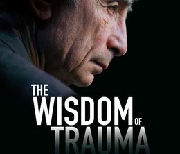 image-https://media.senscritique.com/media/000020269654/0/the_wisdom_of_trauma.jpg